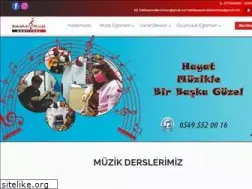 Sites similar to bakirkoymuzikenstitusu.com