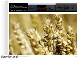 Sites similar to balakchiev.com