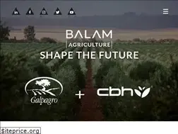 Sites similar to balam.es