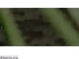 Sites similar to balancedcarend.com