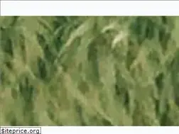 Sites similar to balancedhealthbotanicals.com
