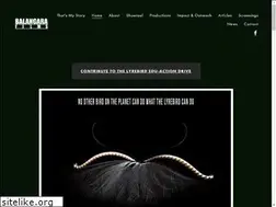Sites similar to balangarafilms.com