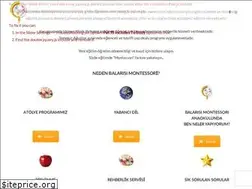 Sites similar to balarisimontessori.com