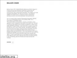 Sites similar to balazscsizik.com