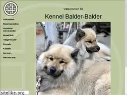 Sites similar to balder-balder.se