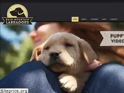 Sites similar to baldmountainlabradors.com