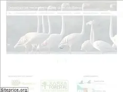 Sites similar to balearsnatura.com