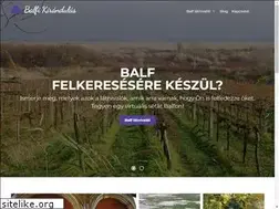 Sites similar to balfikirandulas.hu