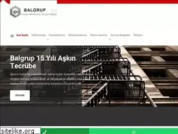 Sites similar to balgrup.com