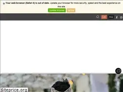 Sites similar to balicateringcompany.com