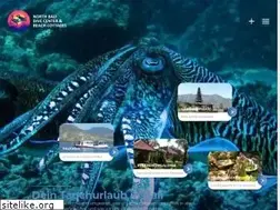 Sites similar to balidivecenter.com