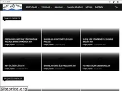 Sites similar to baliginpesinde.com