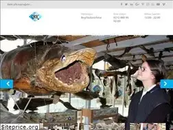 Sites similar to balikcikenan.com.tr