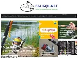 Sites similar to balikcil.net
