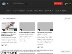 Sites similar to balikoltamda.com