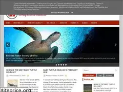 Sites similar to baliseaturtle.org