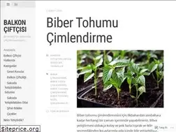 Sites similar to balkonciftcisi.wordpress.com