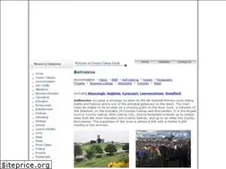 Sites similar to ballinasloe.galway-ireland.ie