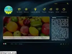 Sites similar to ballsun-group.com