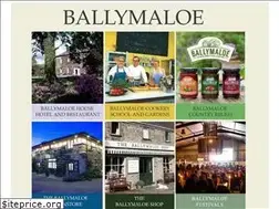 Sites similar to ballymaloe.com