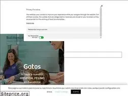 Sites similar to balmesvet.com