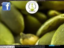 Sites similar to balogholaj.hu