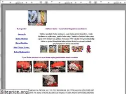 Sites similar to balondekoru.name.tr