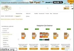 Sites similar to balparmakyoresel.com