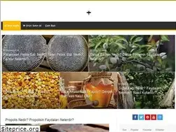 Sites similar to balturkiye.com