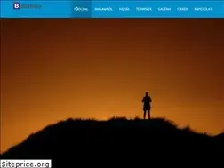 Sites similar to bamboo-bambusz.com
