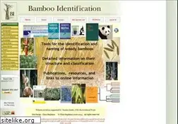 Sites similar to bamboo-identification.co.uk