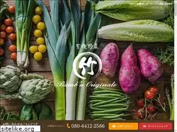 Sites similar to bamboo-original.com