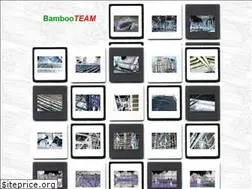 Sites similar to bambooteam.com
