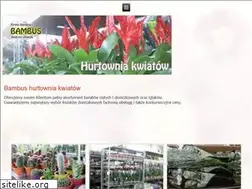 Sites similar to bambus.com.pl