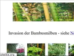 Sites similar to bambustraeume.de