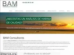 Sites similar to bamconsultores.com