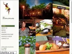 Sites similar to bananasnevis.com