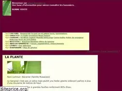 Sites similar to bananier.fr