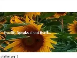 Sites similar to banarastrading.com
