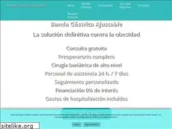 Sites similar to bandagastricaajustable.es