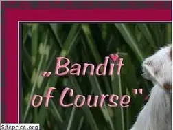 Sites similar to bandit-of-course.de