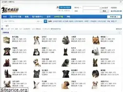 Sites similar to bandog.cn