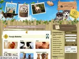 Sites similar to bandrino.ro