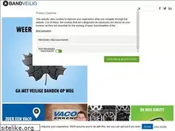 Sites similar to bandveilig.nl