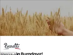 Sites similar to banetti.com.tr