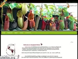 Sites similar to bangkokplants.com