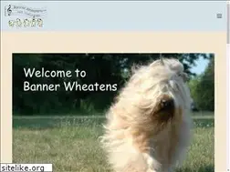 Sites similar to banner-wheatens.com