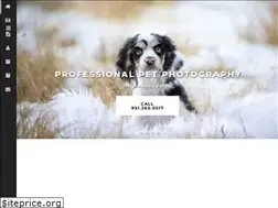 Sites similar to banyanpetphotography.com