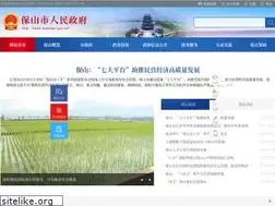 Sites similar to baoshan.gov.cn