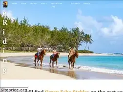 Sites similar to barbadoshorseriding.com